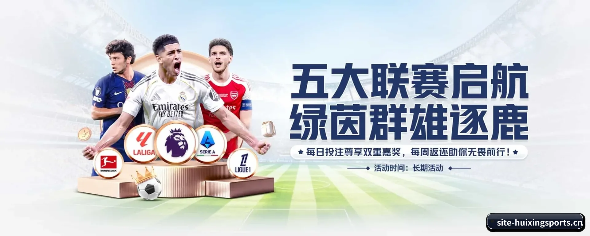 五大服务分区,信息按项目类别